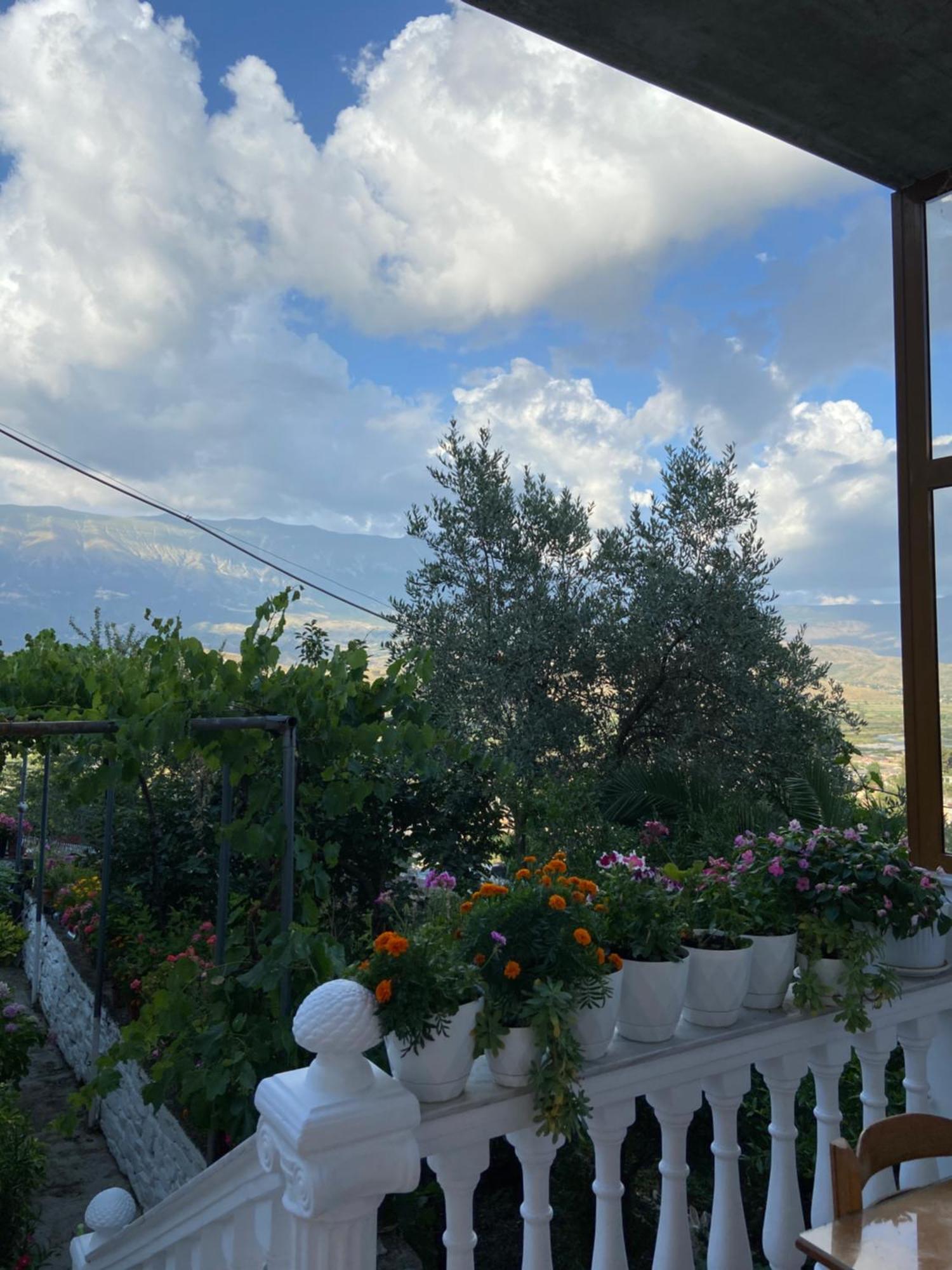 Stonetale Garden Guesthouse Гирокастра Экстерьер фото